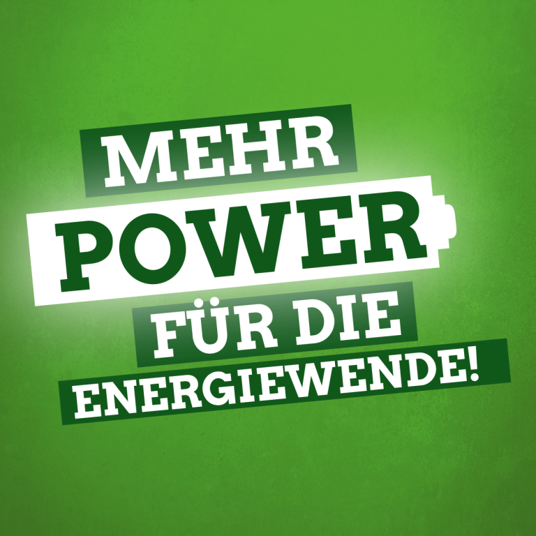 Grüner Zukunftsplan für die Energiewende in Niedersachsen